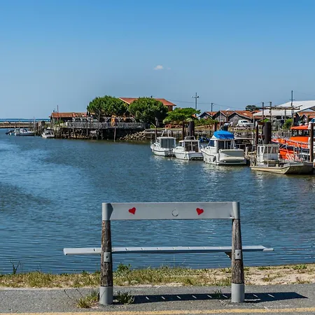 Micoco-bassin D'arcachon * Gujan-Mestras